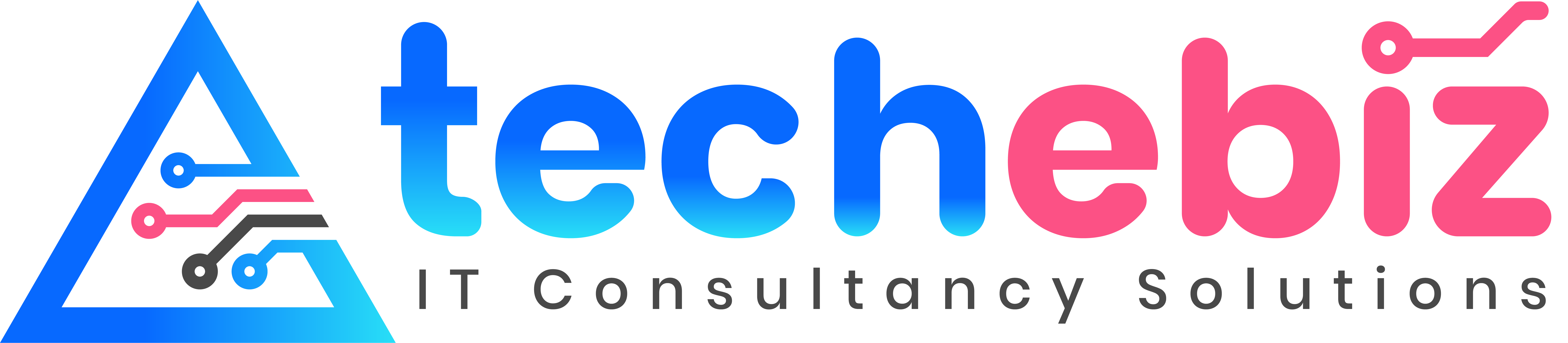 Techebiz — IT Consultancy Solutions