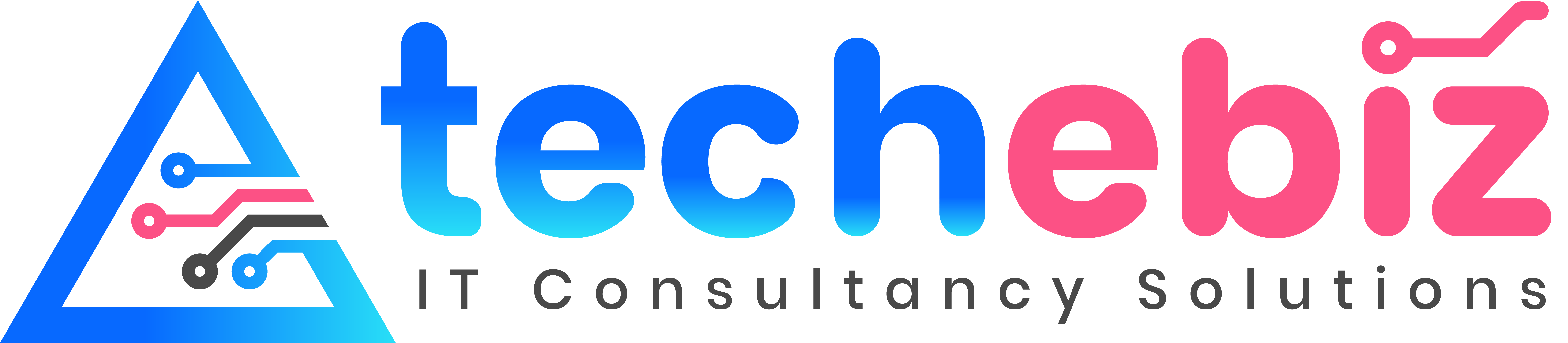 Techebiz
